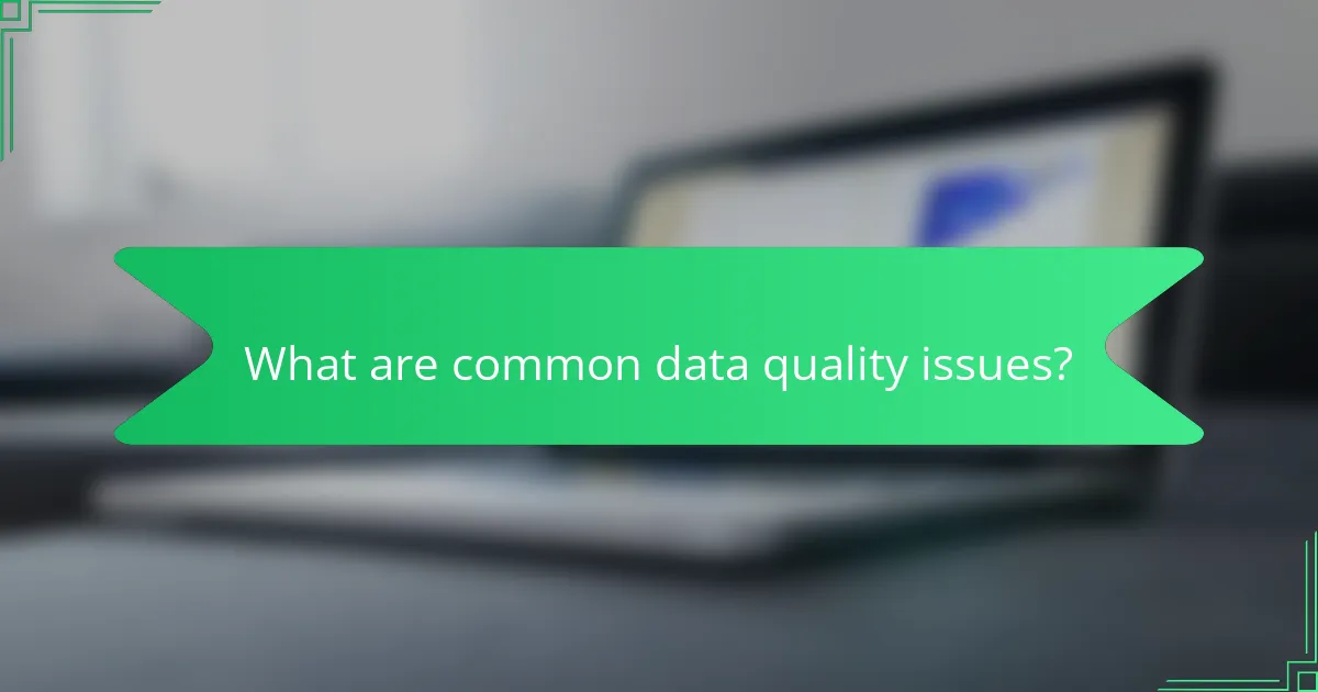 What are common data quality issues?